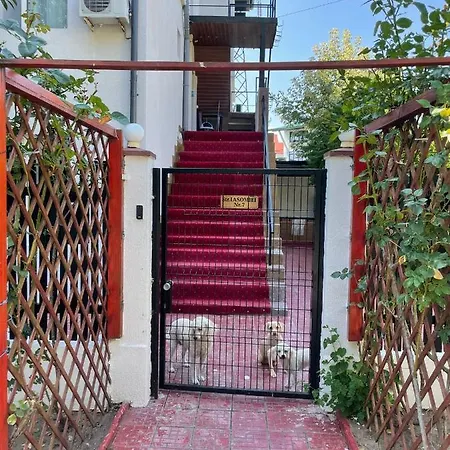 Davi بيت ضيافة 3*