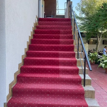 Davi كوستِنيست