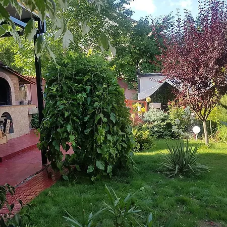 بيت ضيافة Davi كوستِنيست