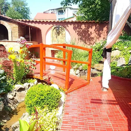 Davi بيت ضيافة 3*