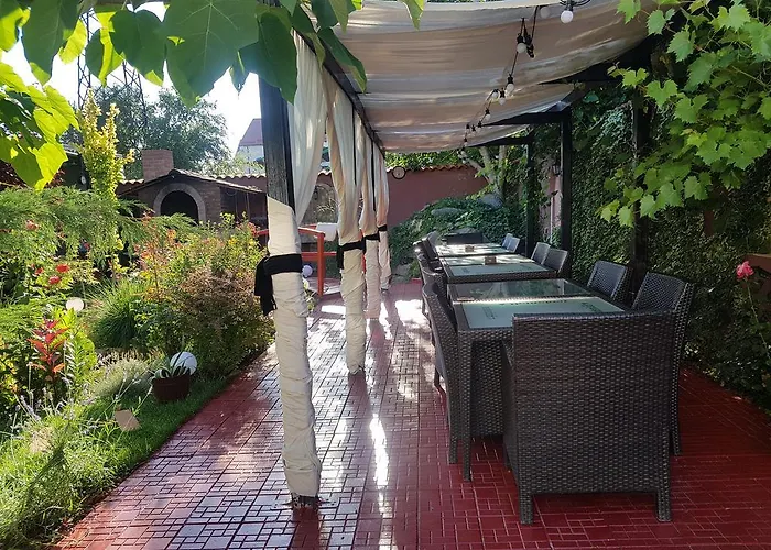 Davi Pensionat Costinesti