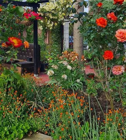 게스트하우스 Davi